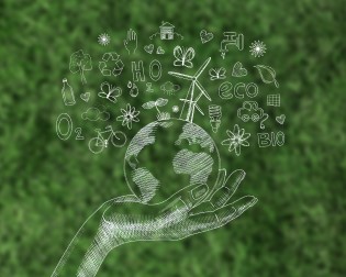 Seguridad y Medio Ambiente